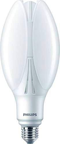 Philips TrueForce Core - Lámpara LED (42 W, 125 W, E27