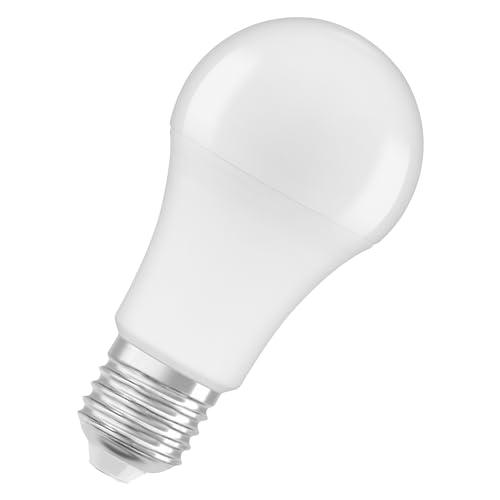 OSRAM NATURE LOOP - lámparas LED especialmente sostenibles hechas de plástico reciclado
